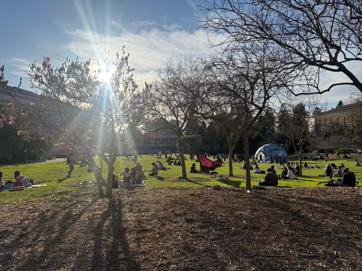 Memorial Glade